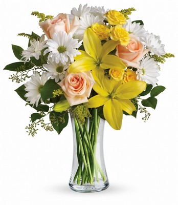 Teleflora's Daisies and Sunbeams